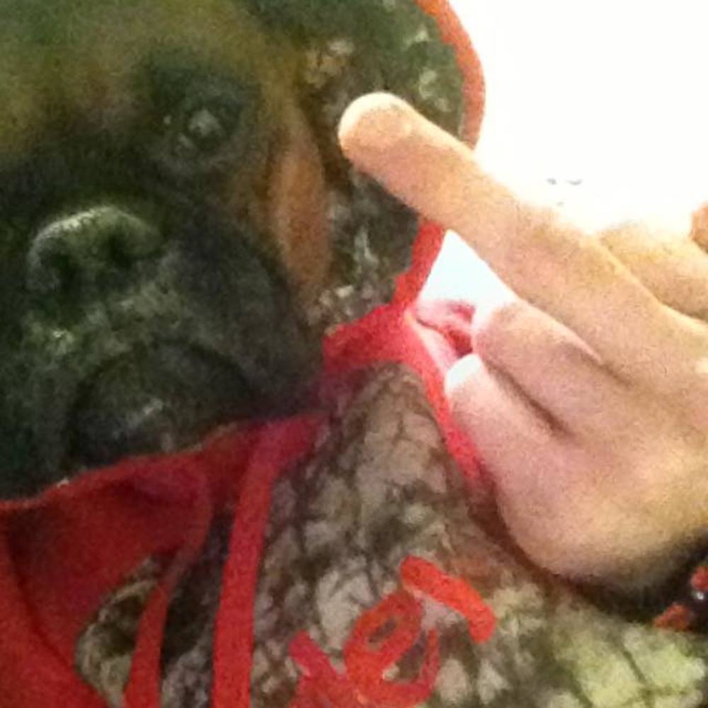 Meet your Posher, Cane